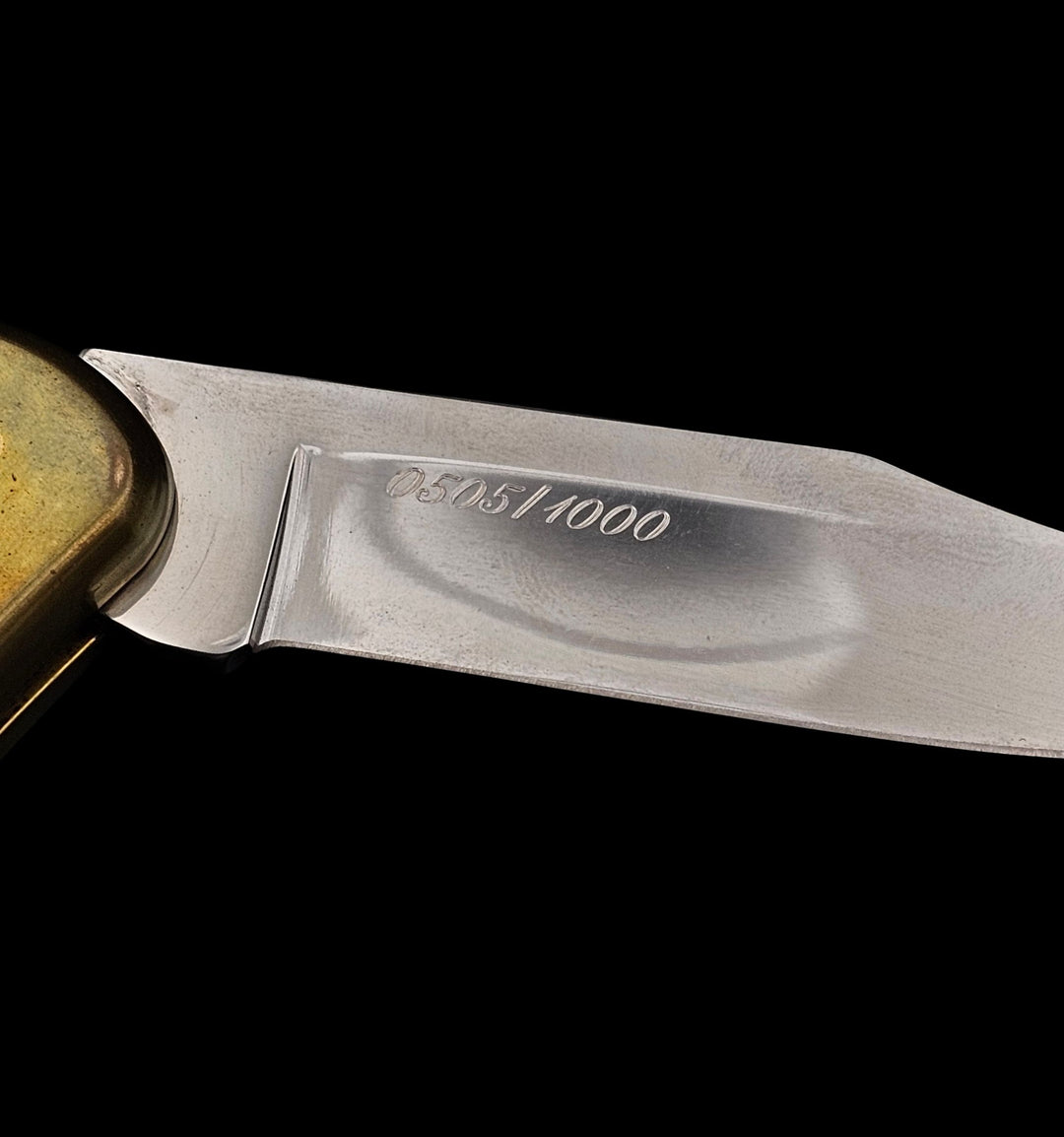 Buck 110 Folding Hunter – Limited Edition (Ducks Unlimited) SN# 505